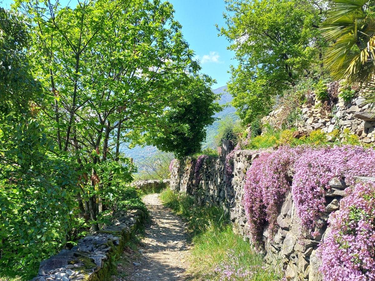 Antica Casa Al Lago Oggebio Exteriér fotografie